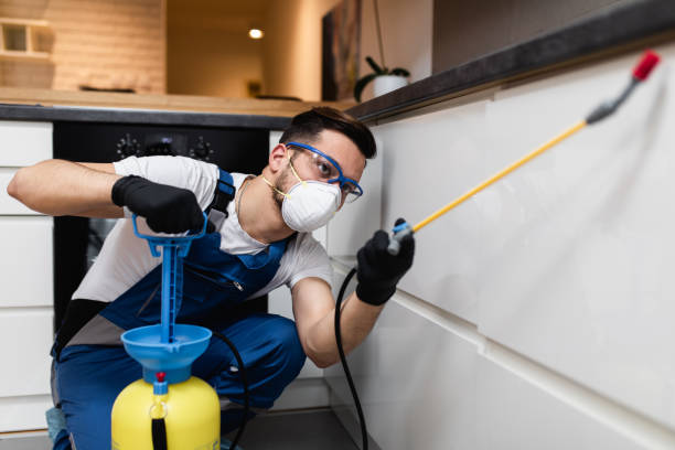 Best Best Pest Control Companies  in Dogtown, CA